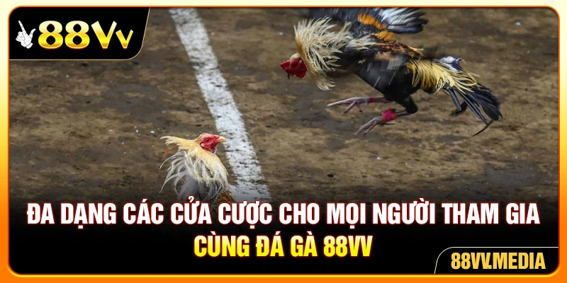 Đa dạng các cửa cược cho mọi người tham gia cùng đá gà 88VV