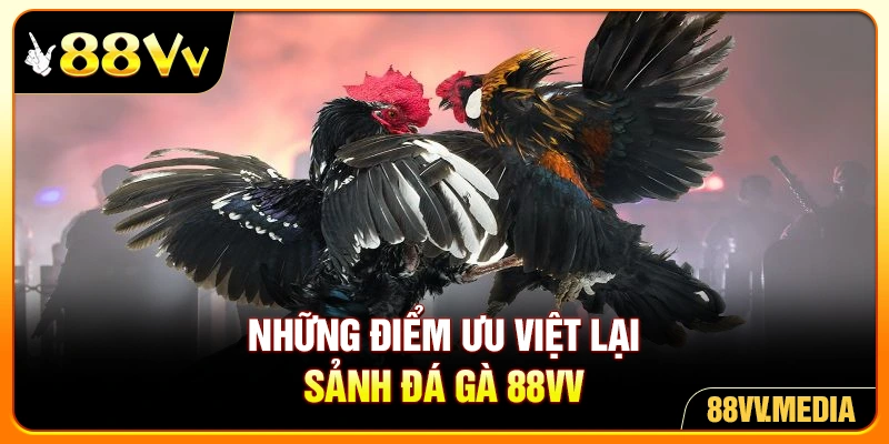 Những điểm ưu việt lại sảnh đá gà 88VV